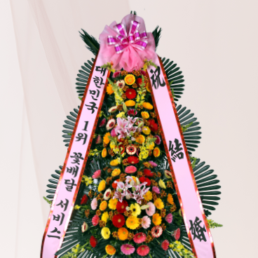 축하/결혼
